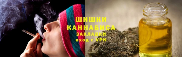 индика Белоозёрский