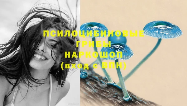 молекула духа Беломорск